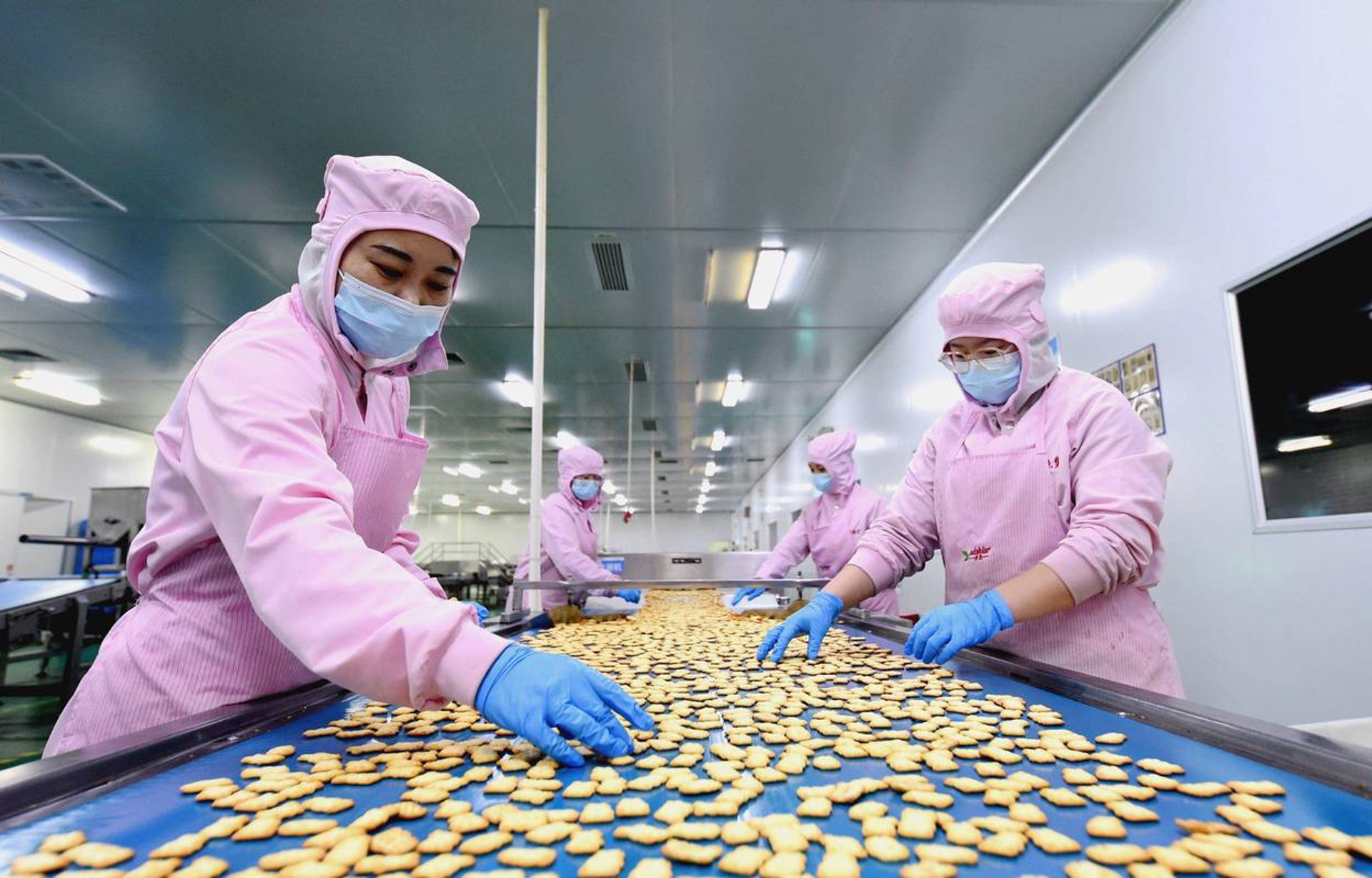 报鉴食品加工