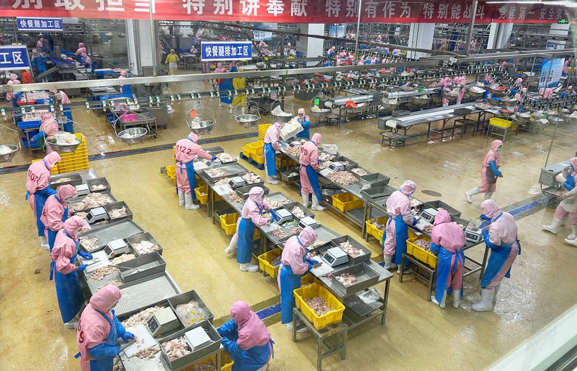 报鉴食品加工