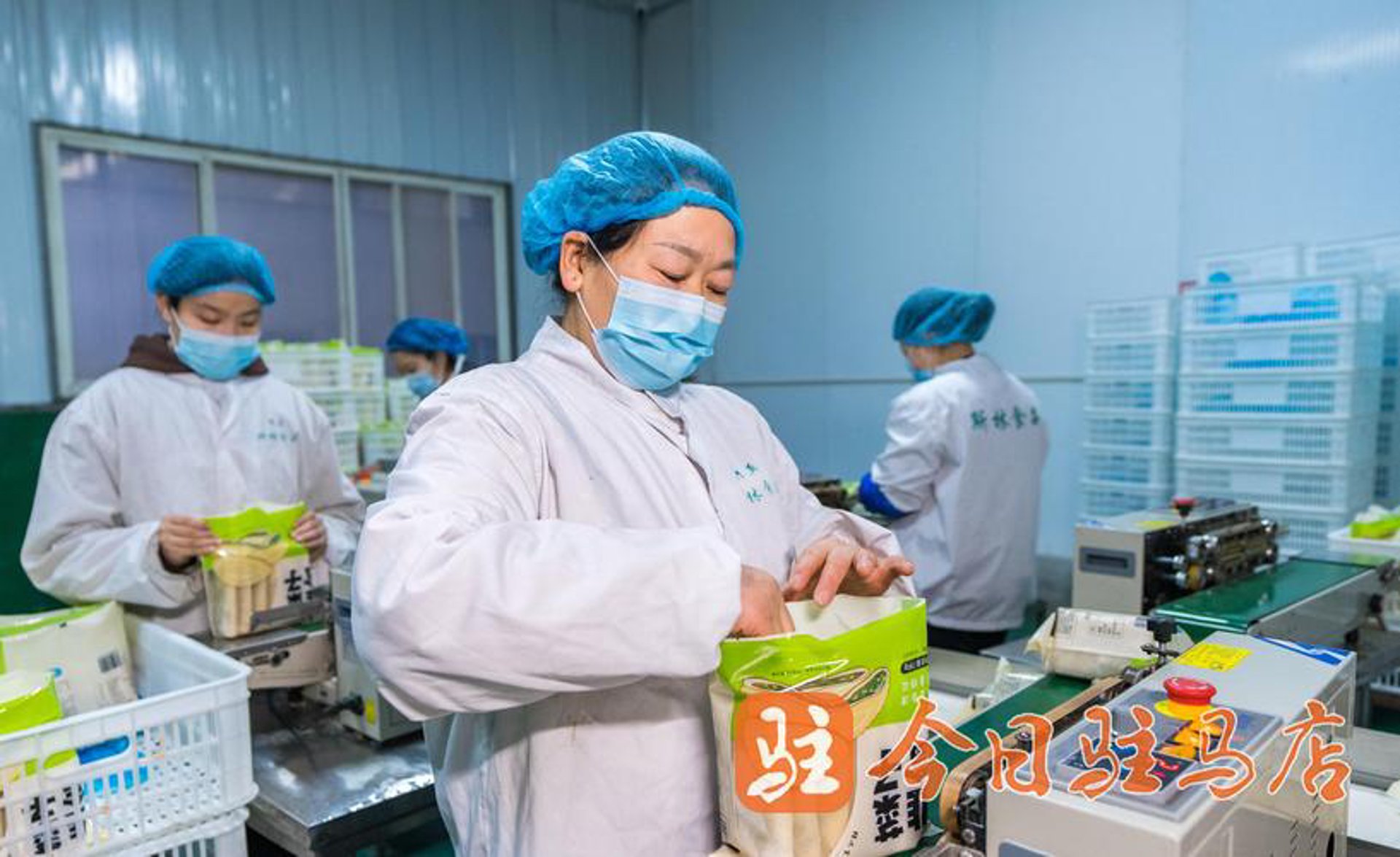 报鉴食品加工